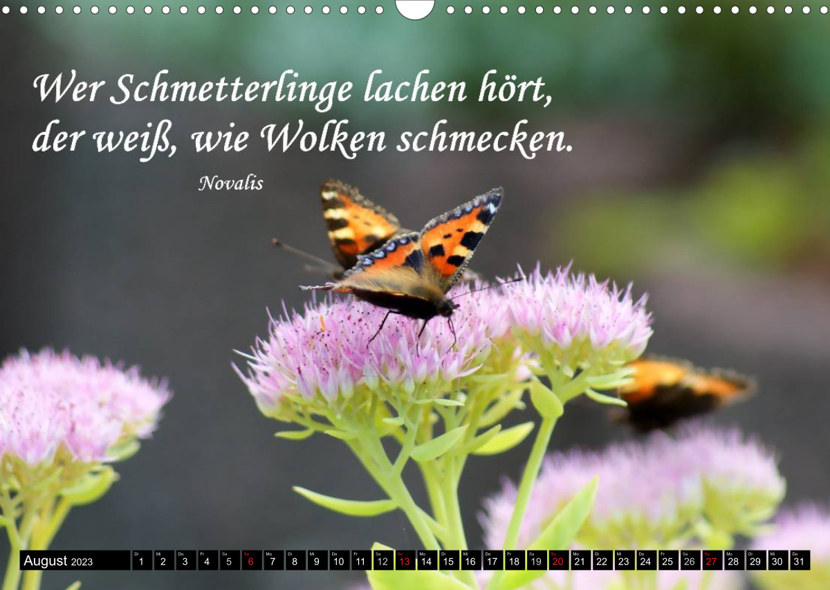 Calvendo Calendar Weisheiten Zitate Und Spr Che Ein Jahr Voller