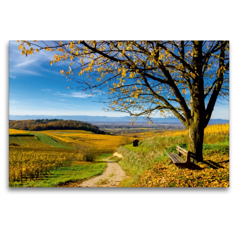 Bunter Kaiserstuhl im Herbst