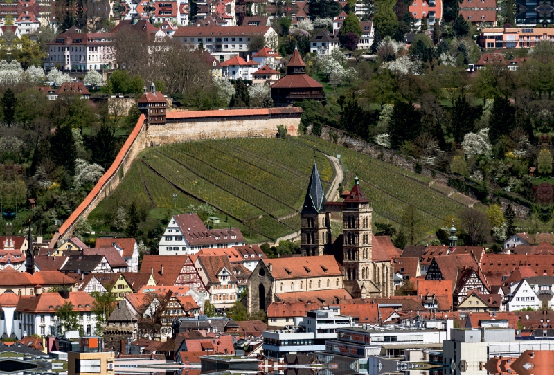 Luftbild auf Burg und Stadtkirche