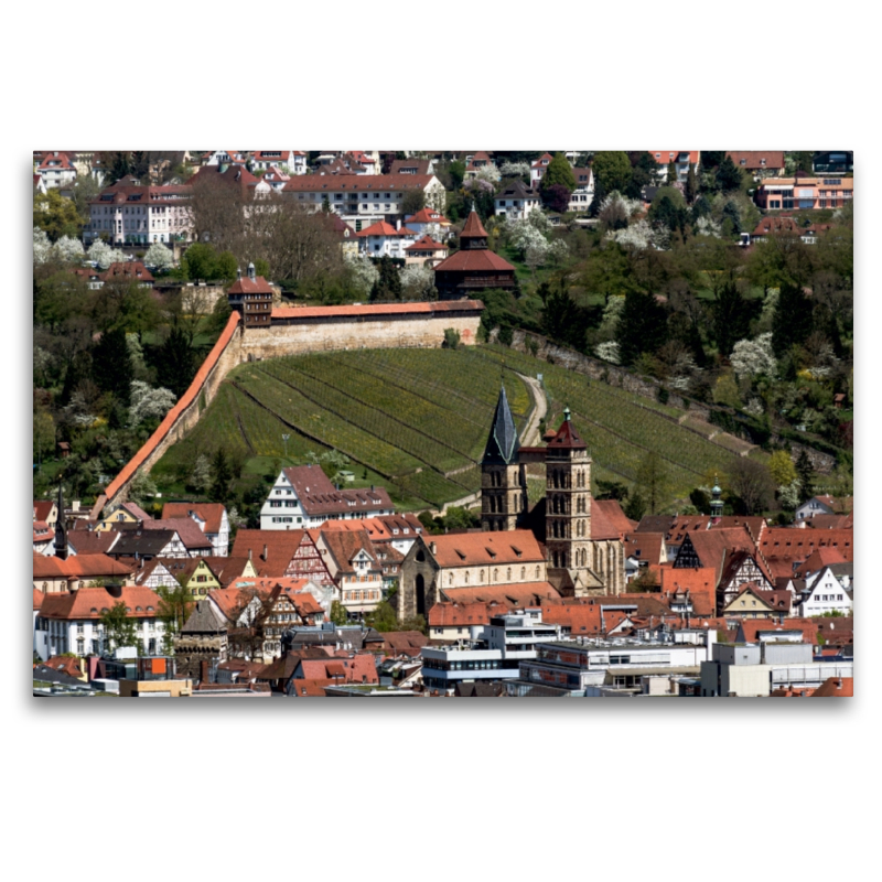 Luftbild auf Burg und Stadtkirche