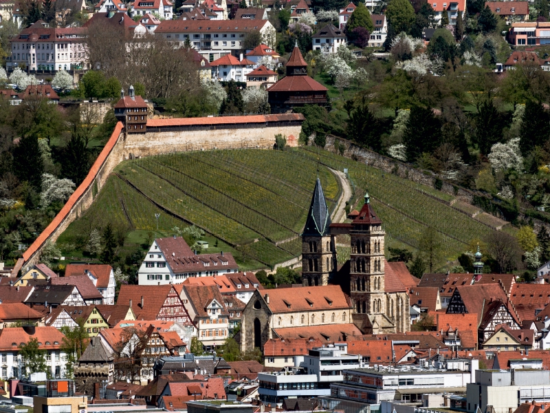 Luftbild auf Burg und Stadtkirche