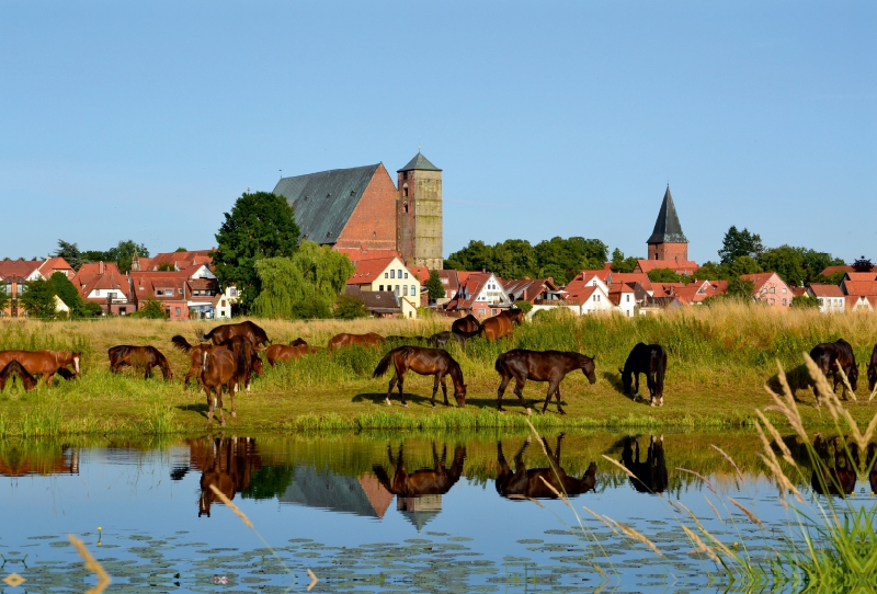 Skyline Verden/Aller