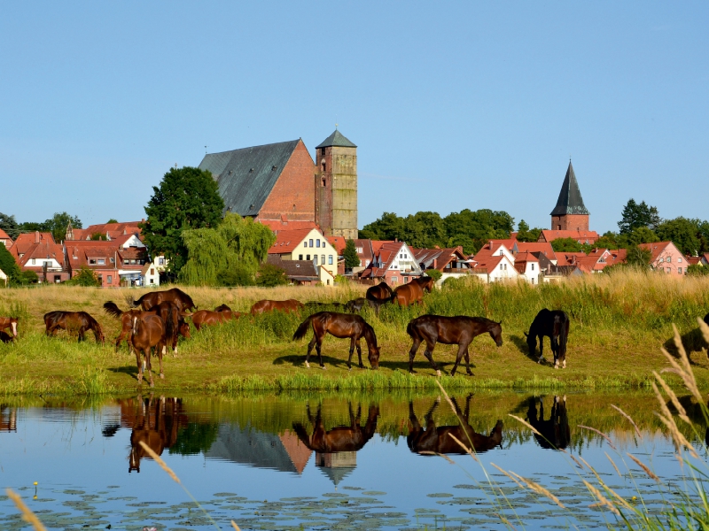 Skyline Verden/Aller