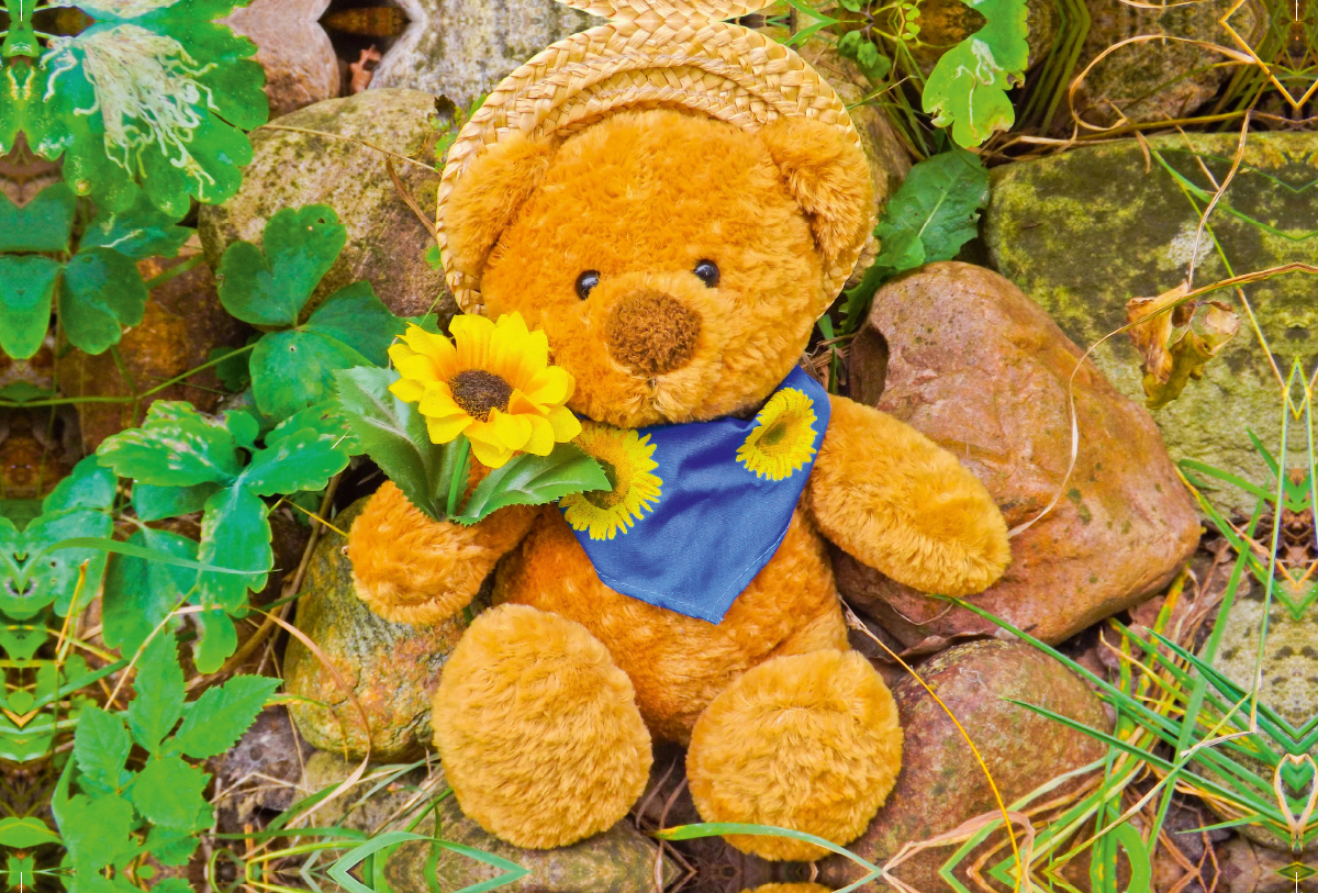 Teddybär mit Sonnenblume