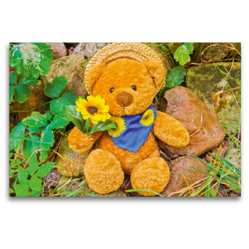 Teddybär mit Sonnenblume