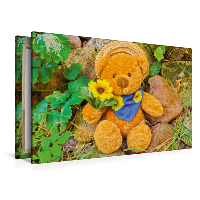 Teddybär mit Sonnenblume