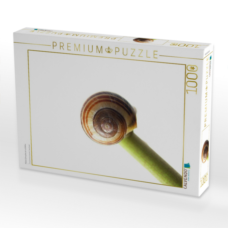 Müde Schnecke am schlafen
