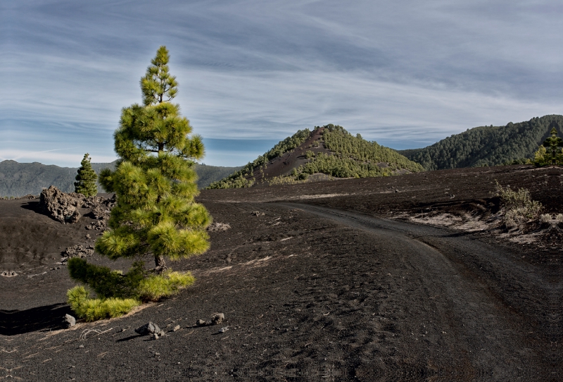 La Palma - Cumbre Nueva