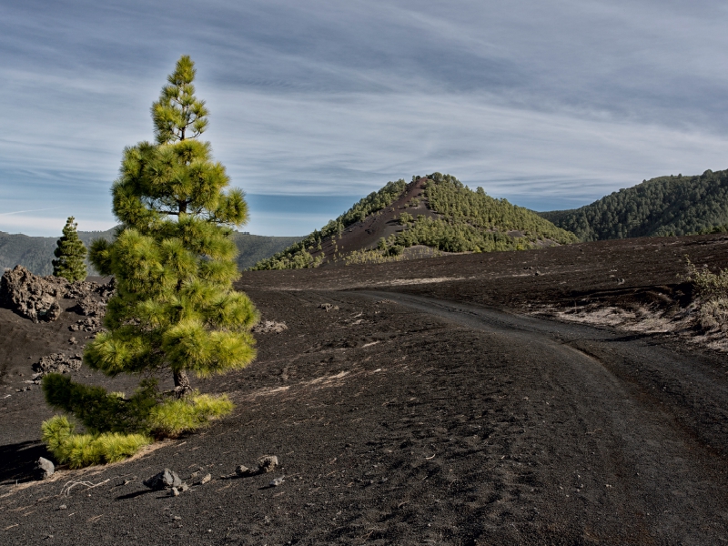 La Palma - Cumbre Nueva