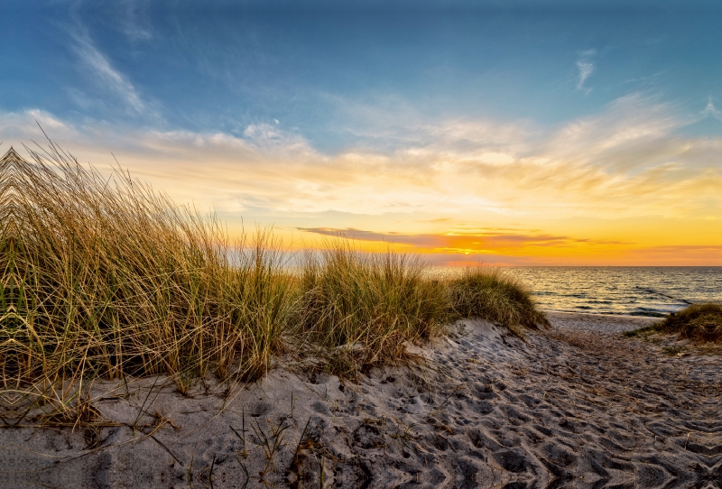 Ein Motiv aus dem Kalender Am Meeressaum der Ostsee