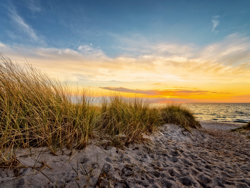 Ein Motiv aus dem Kalender Am Meeressaum der Ostsee