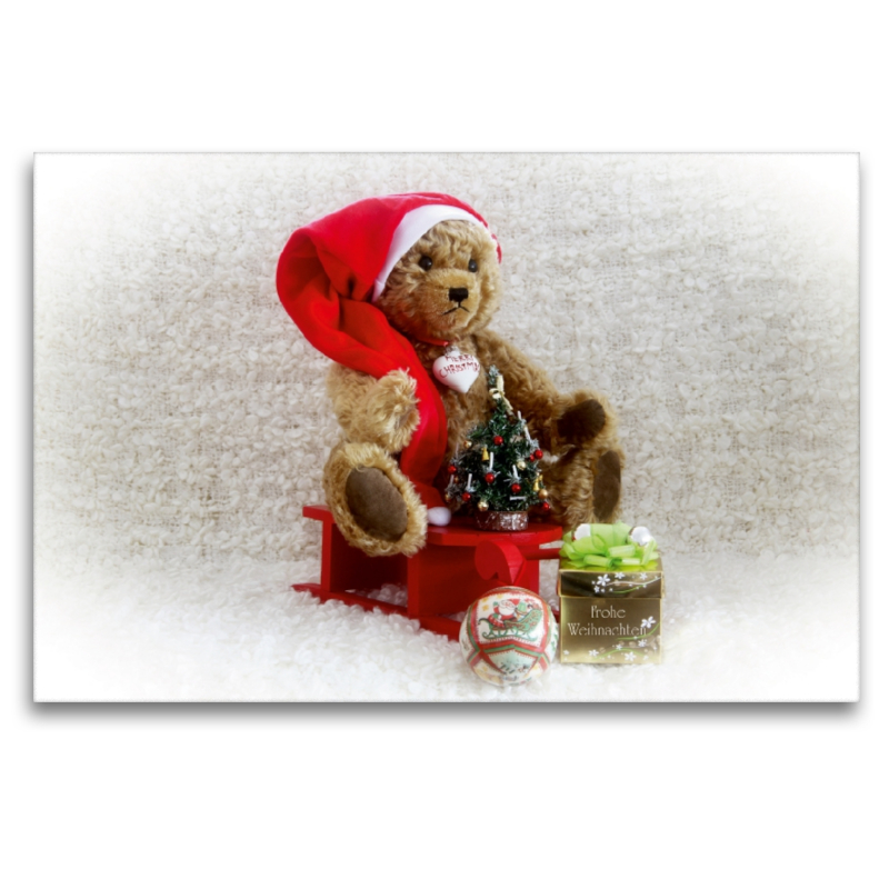 Weihnachten mitTeddy