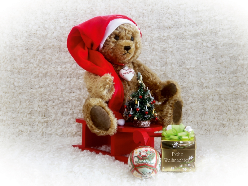 Weihnachten mitTeddy