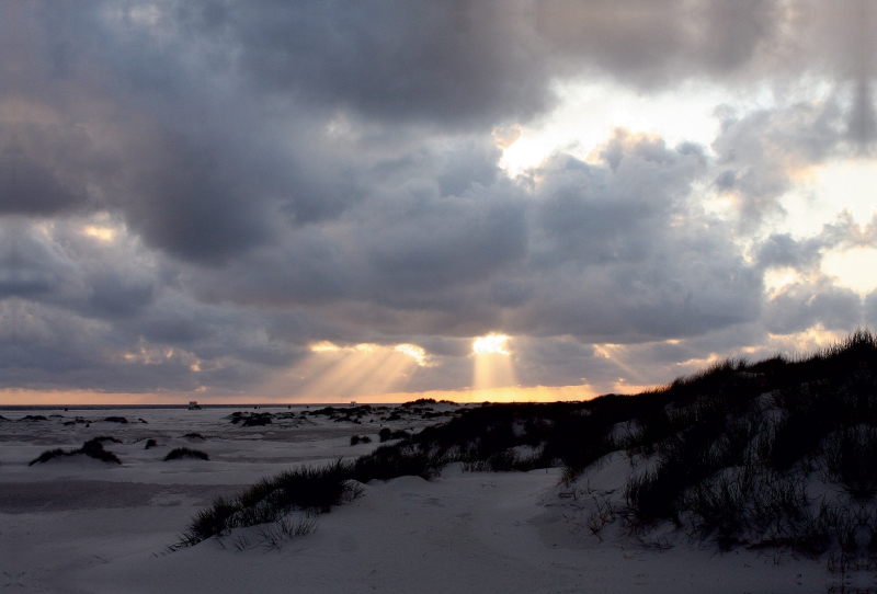 Amrum