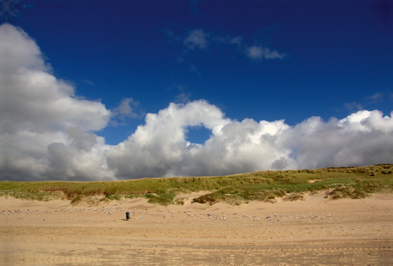 Strand und Dünen