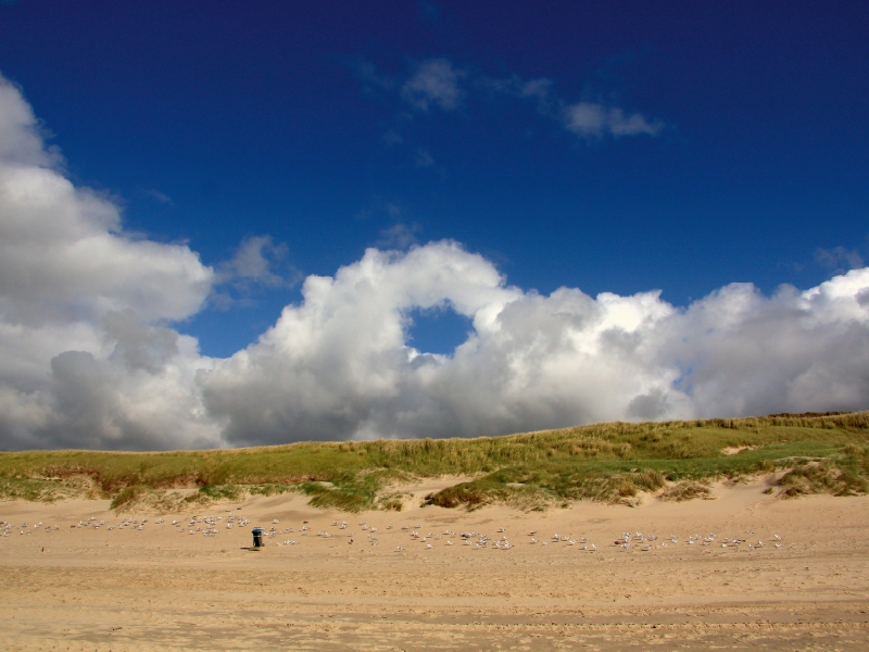 Strand und Dünen