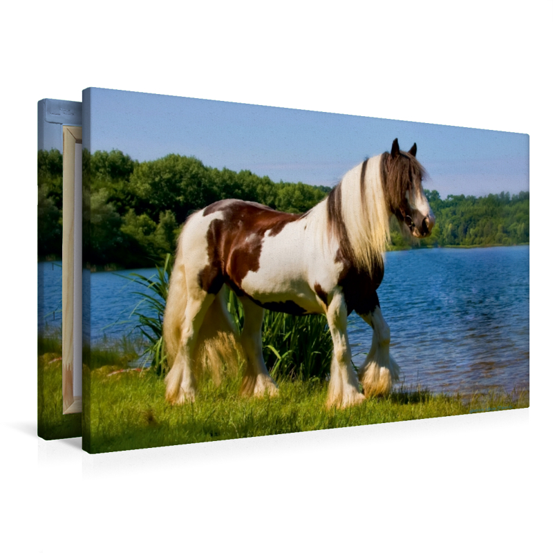 Ein Motiv aus dem Kalender Gypsy Horses