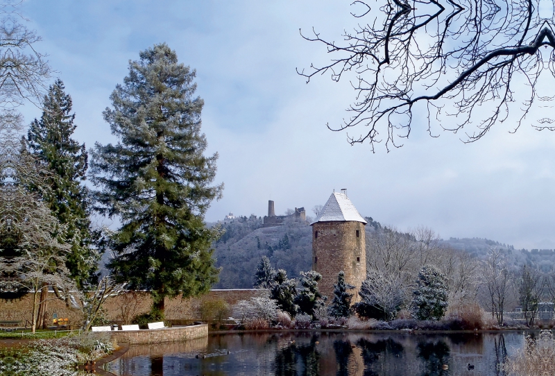 Winterhauch am Schlossteich in Weinheim an der Bergstraße