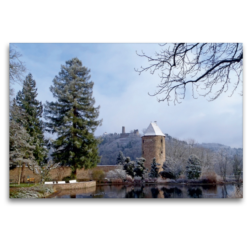 Winterhauch am Schlossteich in Weinheim an der Bergstraße