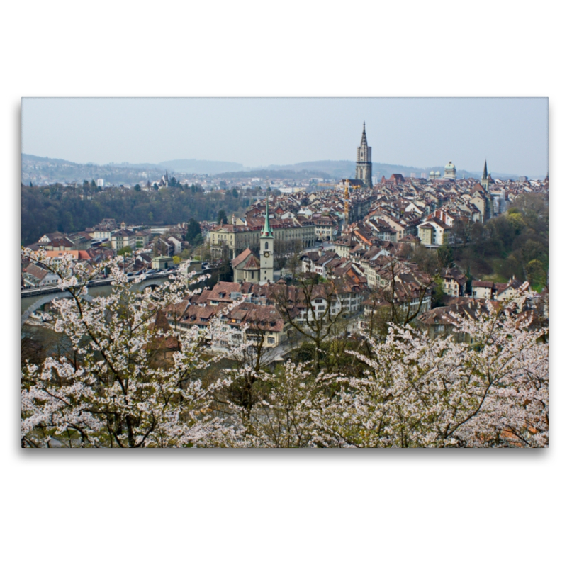 Berner Altstadt vom Rosengarten aus