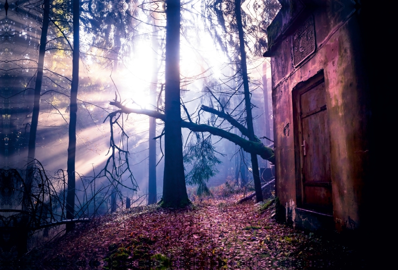 Sonnenaufgang im Thüringer Wald