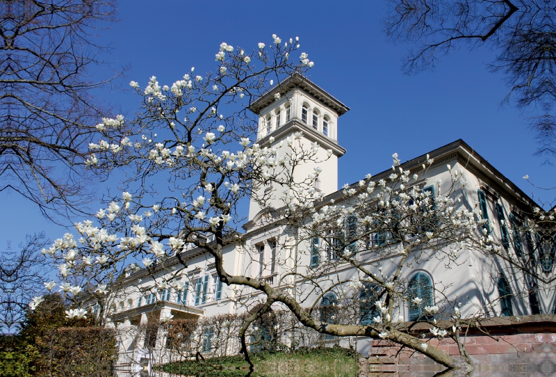 Schloss Heiligenberg (Seeheim-Jugenheim)