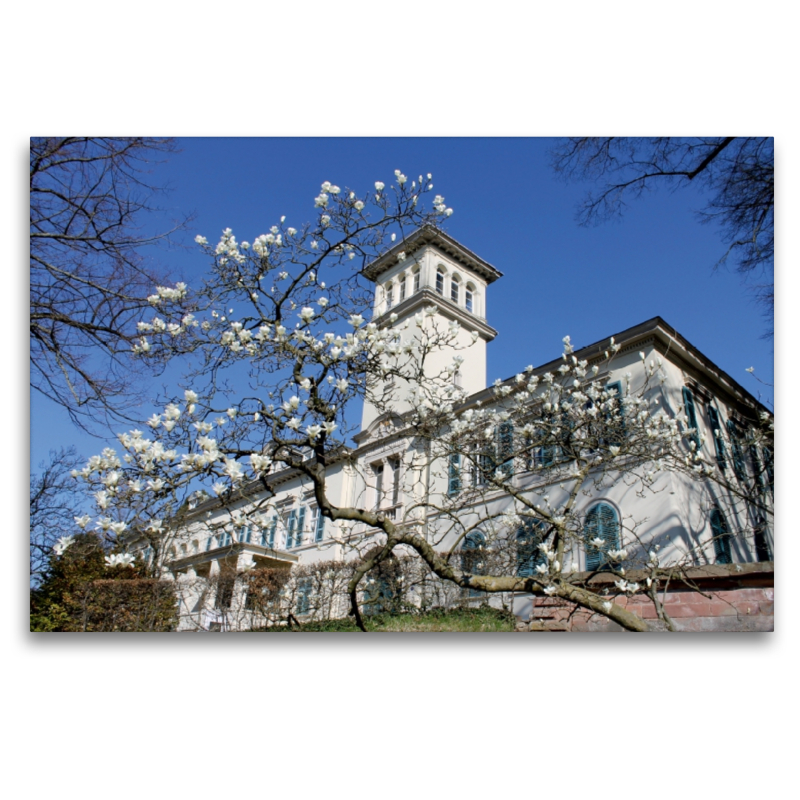 Schloss Heiligenberg (Seeheim-Jugenheim)