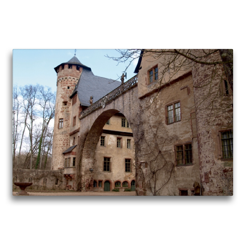 Schloss Fürstenau (Michelstadt / Steinbach)