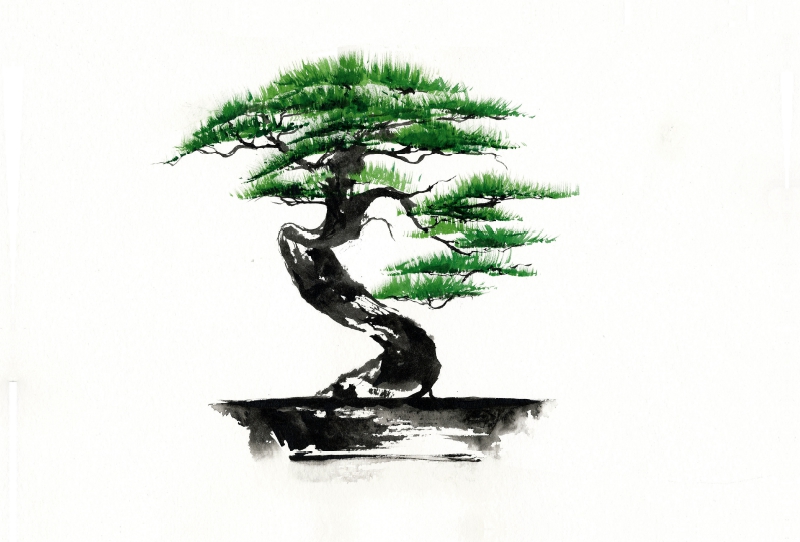 Bonsai