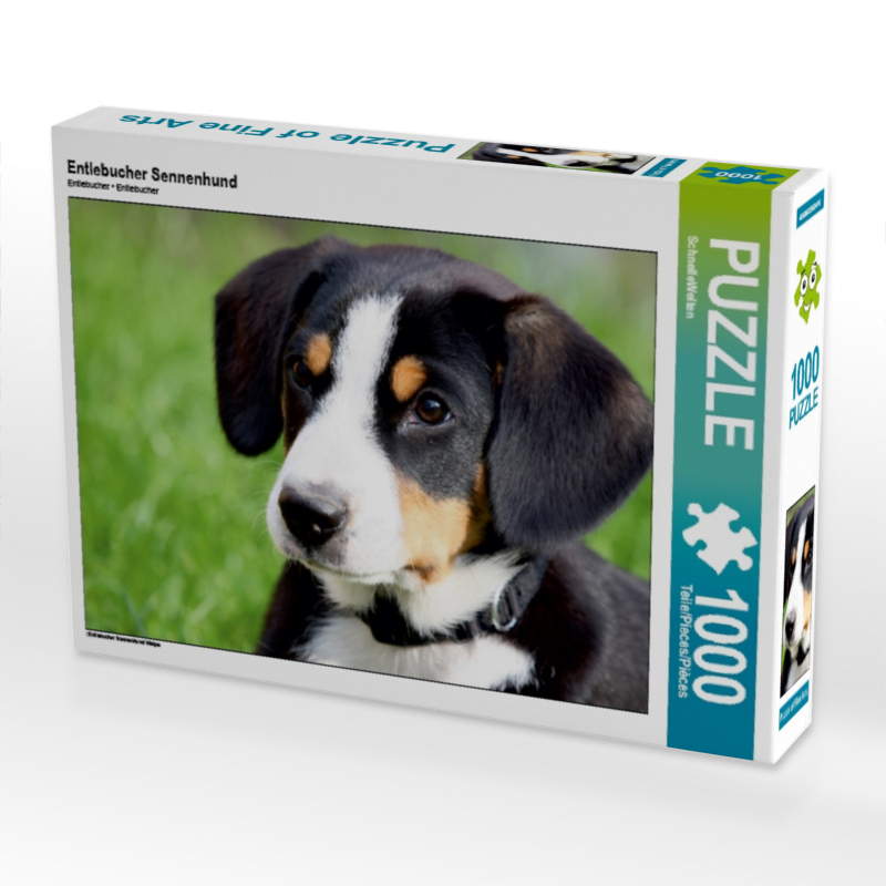 Entlebucher Sennenhund