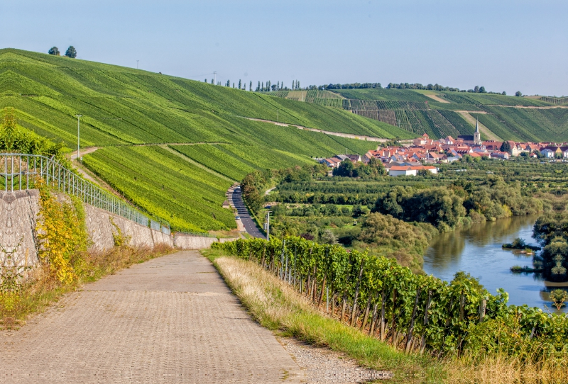 Fränkische Toskana mit Blick auf die berühmte Weinlage Escherndorfer Lump