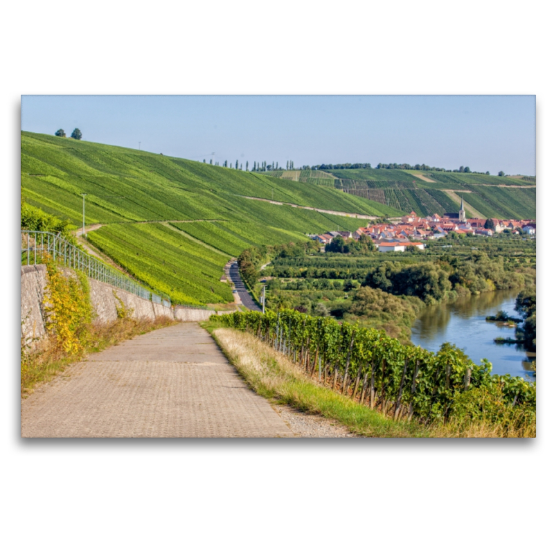 Fränkische Toskana mit Blick auf die berühmte Weinlage Escherndorfer Lump