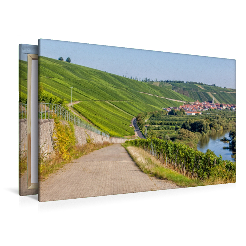 Fränkische Toskana mit Blick auf die berühmte Weinlage Escherndorfer Lump