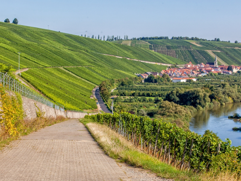 Fränkische Toskana mit Blick auf die berühmte Weinlage Escherndorfer Lump