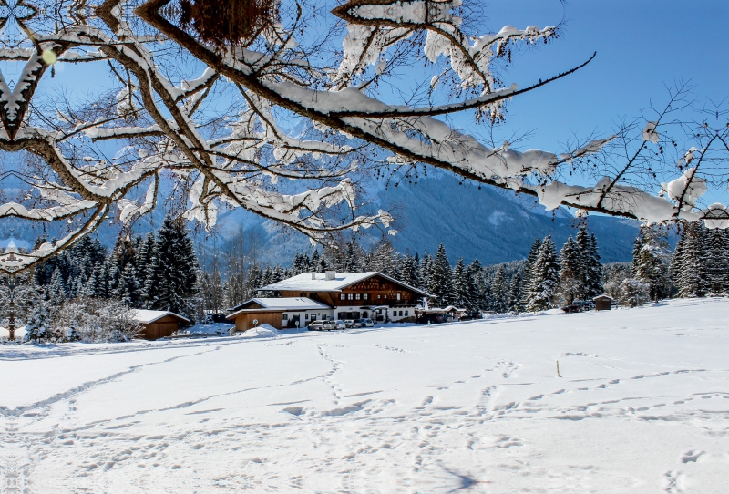 Frohe Weihnachten