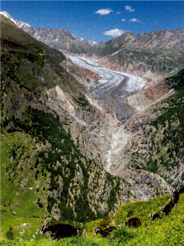 Fieschergletscher (Wallis - Schweiz)