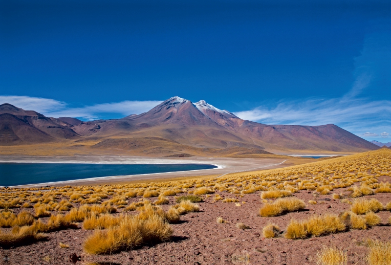 Laguna Miscanti