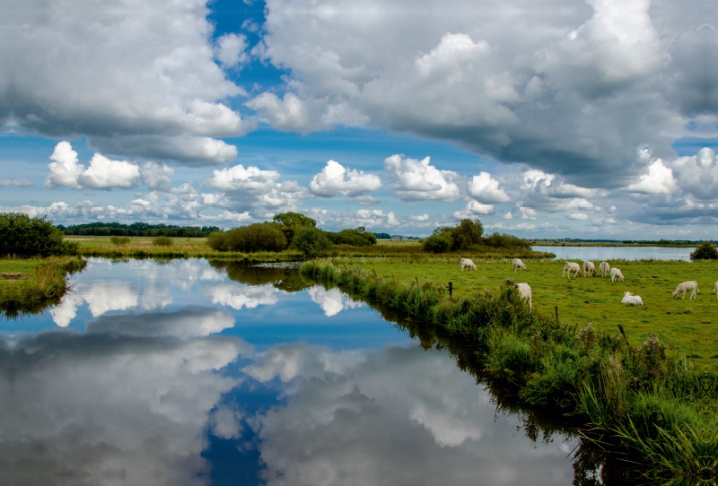 Naturlandschaft an der Hamme in Worpswede