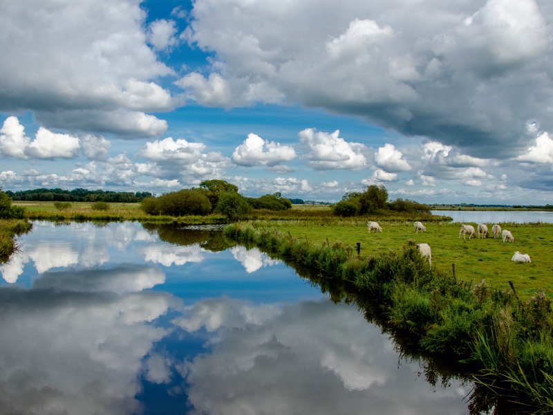 Naturlandschaft an der Hamme in Worpswede