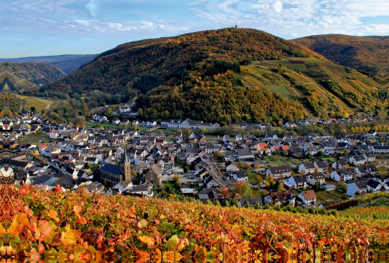 Blick auf Dernau an der Ahr