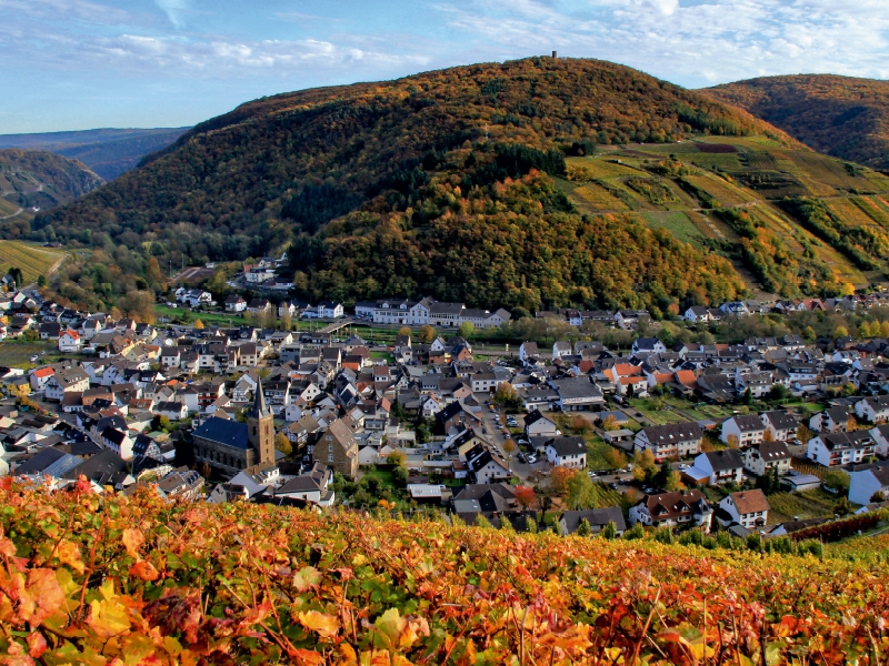 Blick auf Dernau an der Ahr