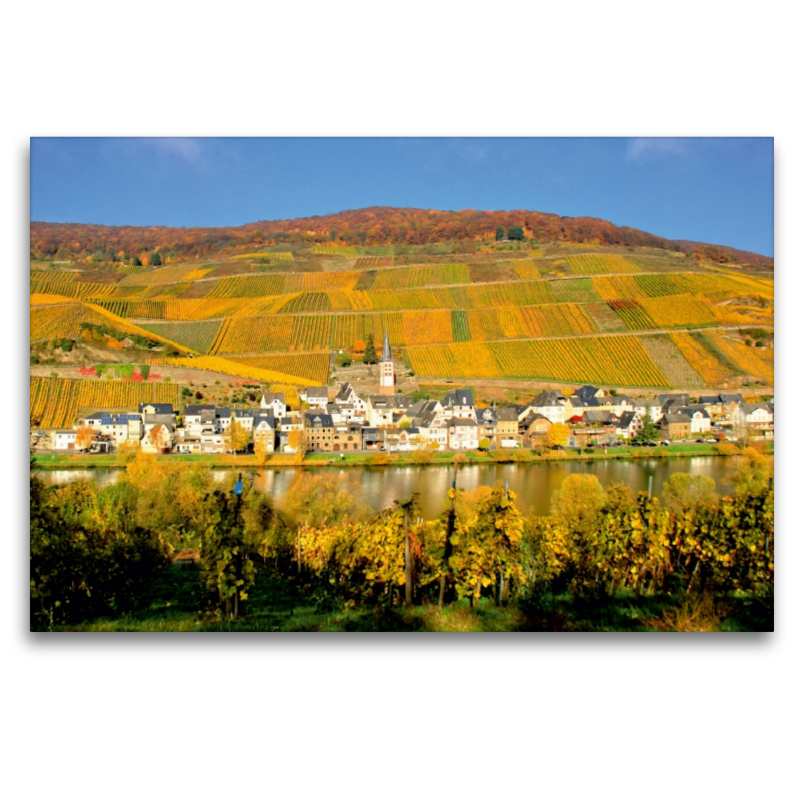 Cell an der Mosel