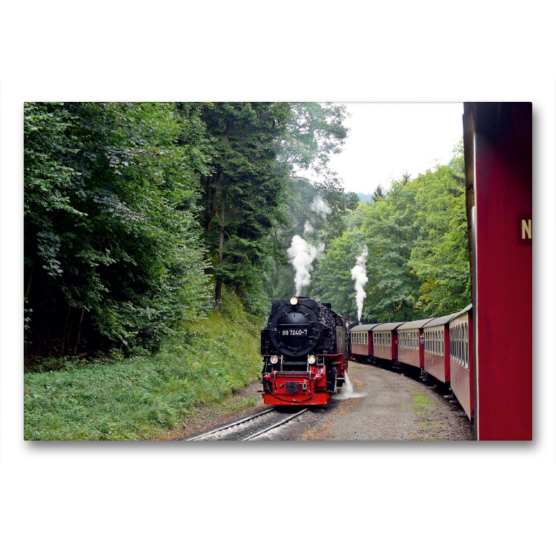 Bei der Brockenbahn im Harz