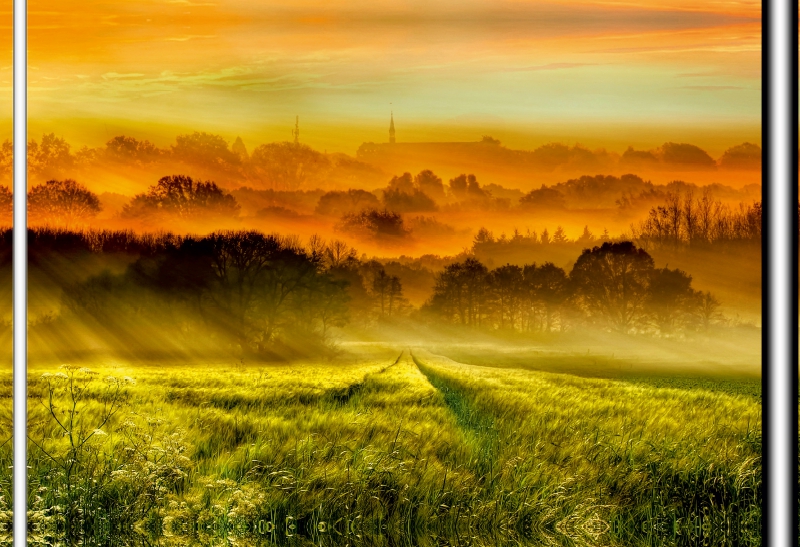 Über dem Kornfeld geht die Sonne auf