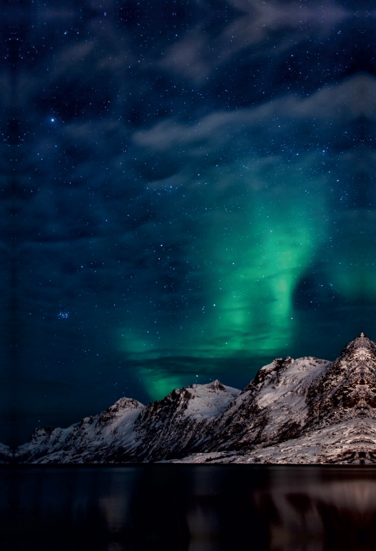 Nordlichter am Fjord