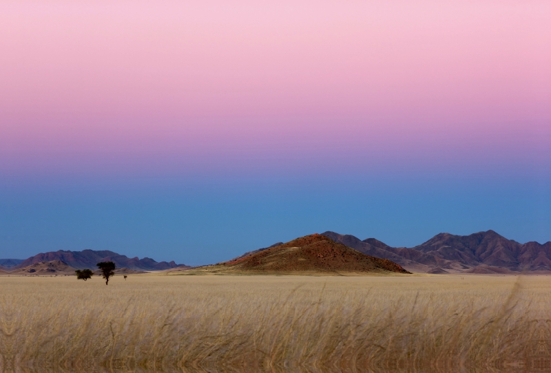 Morgens in der Namib in Afrika