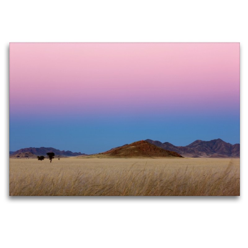 Morgens in der Namib in Afrika