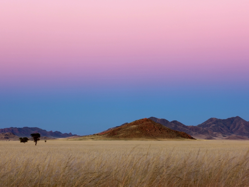 Morgens in der Namib in Afrika