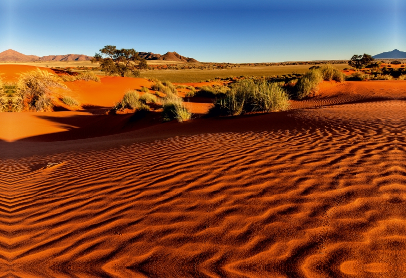 Morgenlicht in der Namib-Wüste in der Sossusvlei