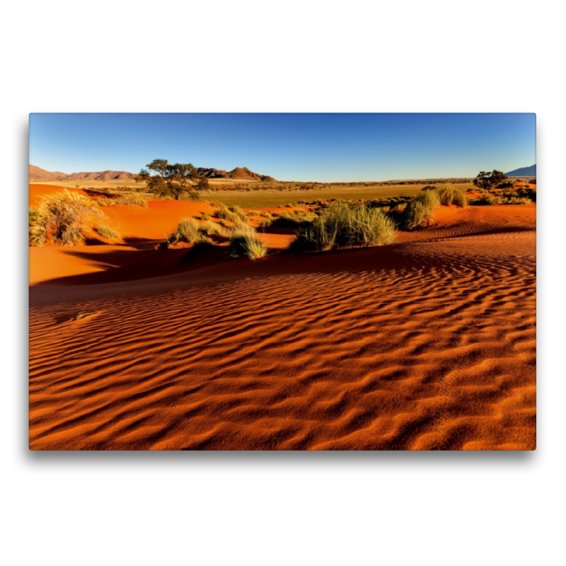 Morgenlicht in der Namib-Wüste in der Sossusvlei